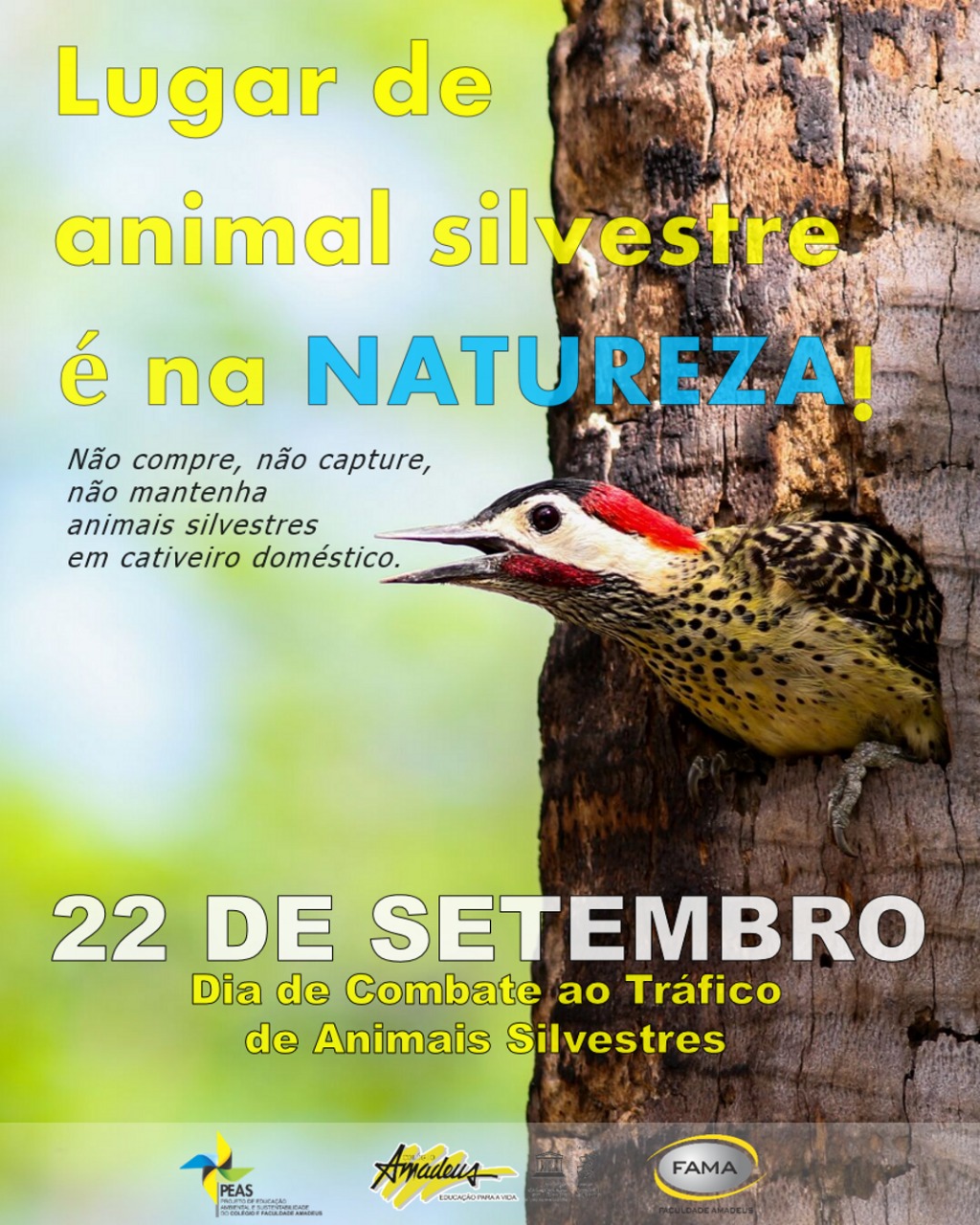 Campanha Do Peas De Setembro Dia De Combate Ao Tr Fico De Animais