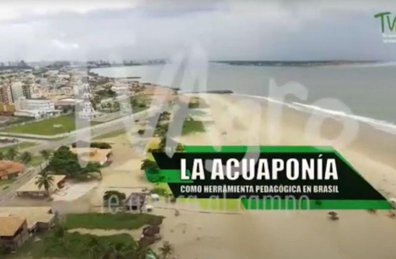 A Aquaponia como ferramenta pedagógica no Brasil